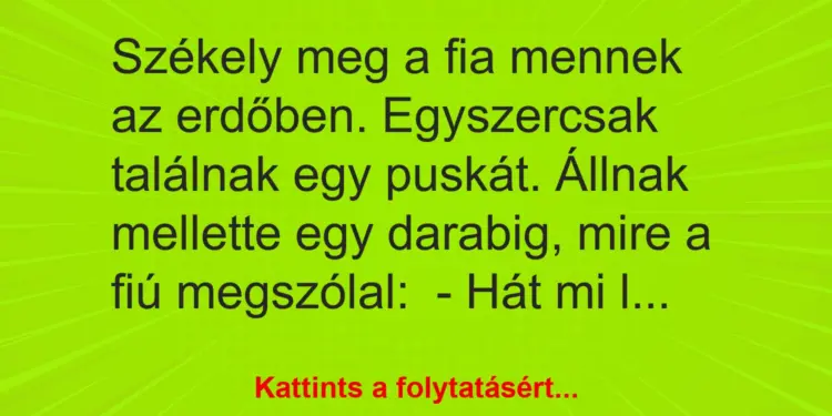 Vicc: Székely meg a fia mennek az erdőben. Egyszercsak találnak egy puskát. Állnak…