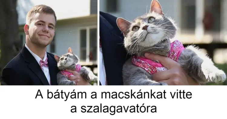 20 vidám pillanat, ami meggyőzött: a humor mindenhol ott van körülöttünk!