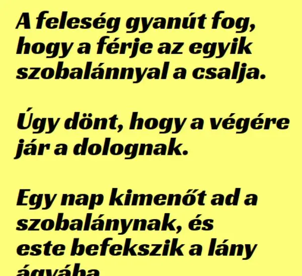 Vicc: A feleség gyanút fog, hogy a férje a szobalánnyal…