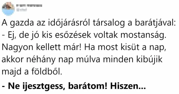 Vicc: A gazda az időjárásról társalog a barátjával…