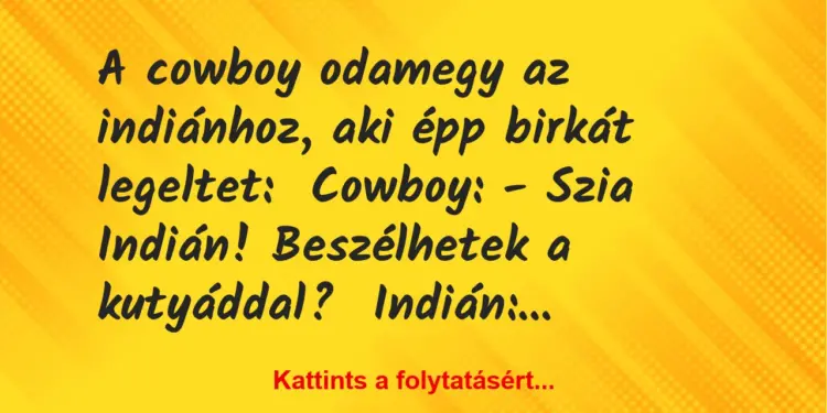 Vicc: A cowboy odamegy az indiánhoz, aki épp birkát legeltet:Cowboy: – Szia…