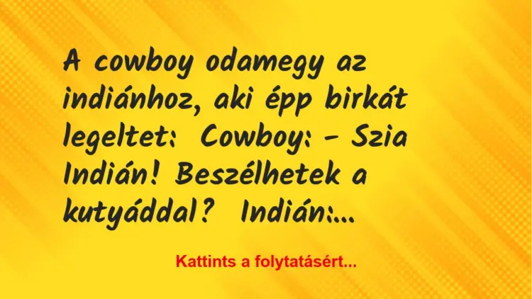 Vicc: A cowboy odamegy az indiánhoz, aki épp birkát legeltet:Cowboy: – Szia…