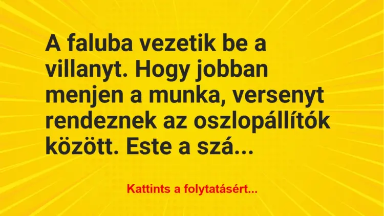 Vicc: A faluba vezetik be a villanyt. Hogy jobban menjen a munka, versenyt…