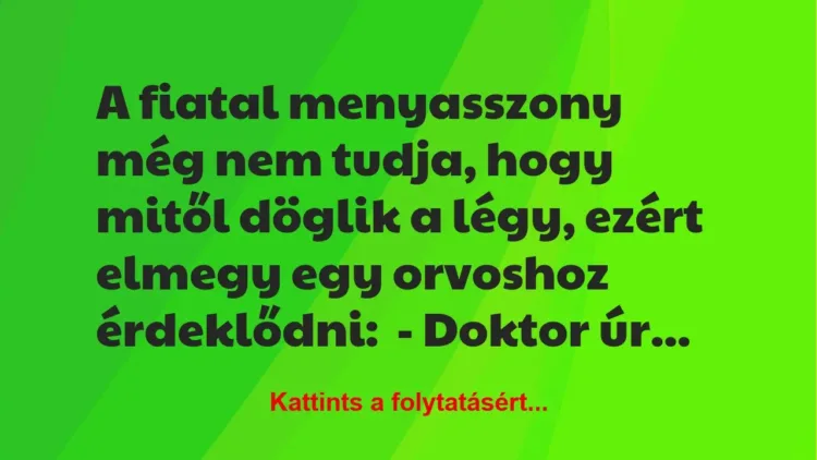 Vicc: A fiatal menyasszony még nem tudja, hogy mitől döglik a légy, ezért elmegy egy…