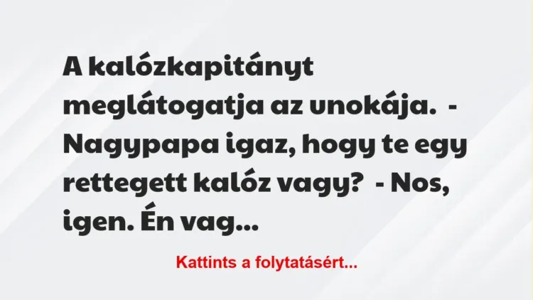 Vicc: A kalózkapitányt meglátogatja az unokája.

– Nagypapa igaz, hogy te egy…