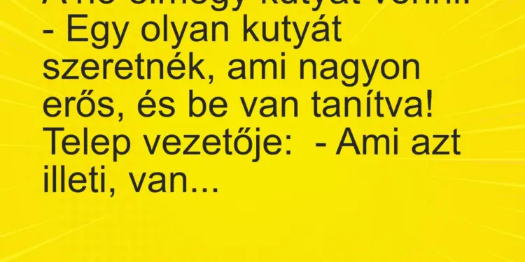 Vicc: A nő elmegy kutyát venni.– Egy olyan kutyát szeretnék, ami nagyon erős, és…