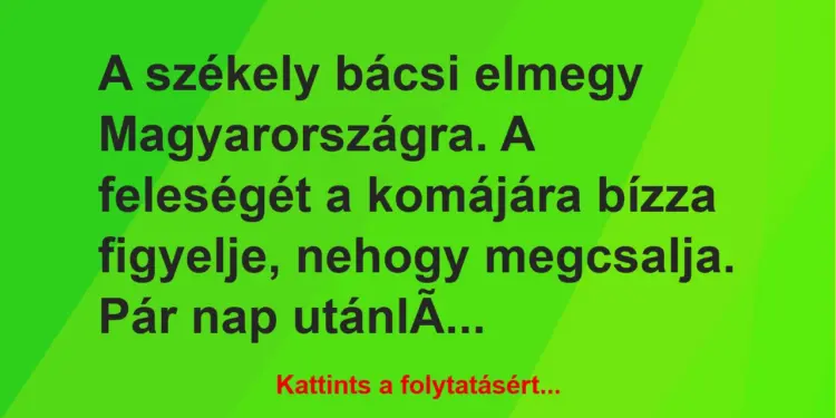 Vicc: A székely bácsi elmegy Magyarországra. A feleségét a komájára bízza…