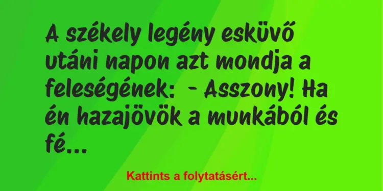 Vicc: A székely legény esküvő utáni napon azt mondja a feleségének:– A…