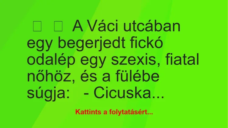 Vicc: 
	    	    A Váci utcában egy begerjedt fickó odalép egy szexis, fiatal nőhöz,…