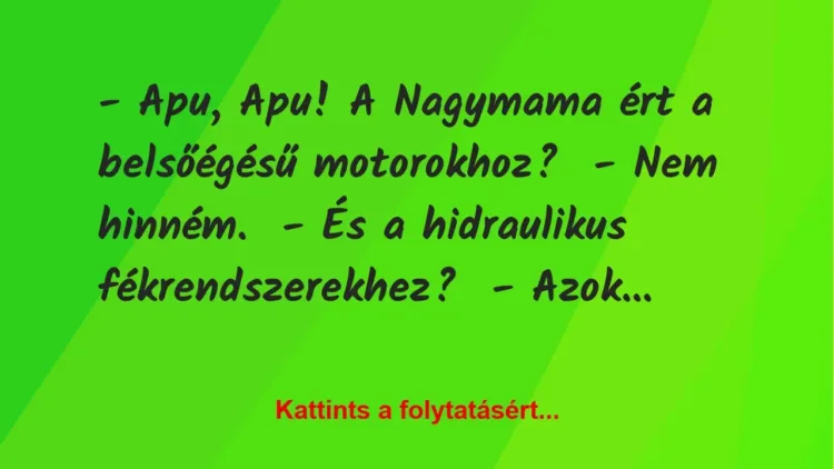 Vicc: – Apu, Apu! A Nagymama ért a belsőégésű motorokhoz?

– Nem hinném.

– És…