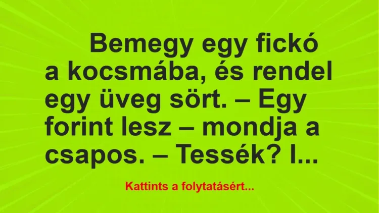 Vicc: Bemegy egy fickó a kocsmába, és rendel egy üveg sört.