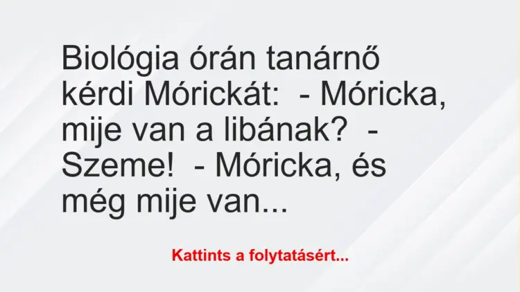 Vicc: Biológia órán tanárnő kérdi Mórickát:– Móricka, mije van a libának?-…