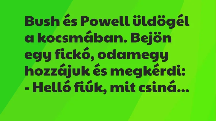 Vicc: Bush és Powell üldögél a kocsmában. Bejön egy fickó, odamegy hozzájuk és…