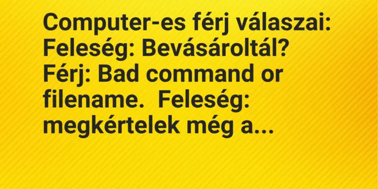 Vicc: Computer-es férj válaszai:Feleség: Bevásároltál?Férj: Bad command or…