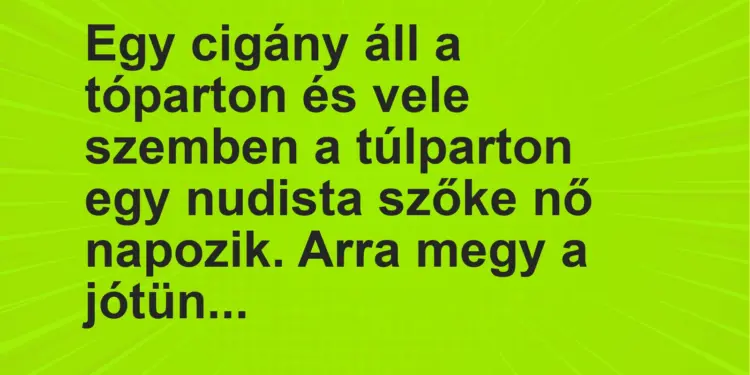 Vicc: Egy cigány áll a tóparton és vele szemben a túlparton egy nudista szőke nő…