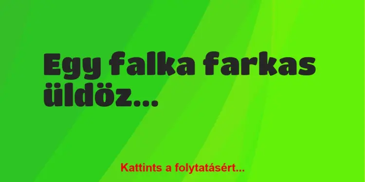 Vicc: Egy falka farkas üldöz két nyuszit