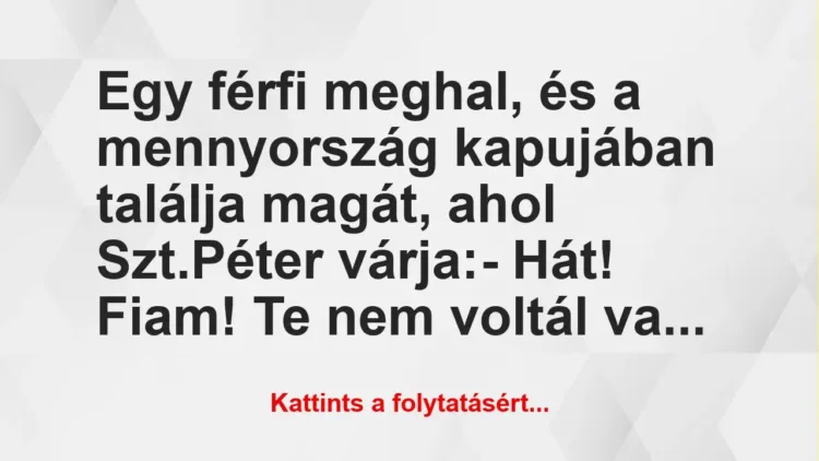 Vicc: Egy férfi meghal, és a mennyország kapujában találja magát, ahol…