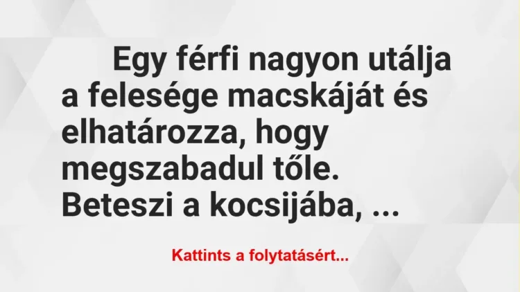 Vicc: Egy férfi nagyon utálja a felesége macskáját és elhatározza, hogy…