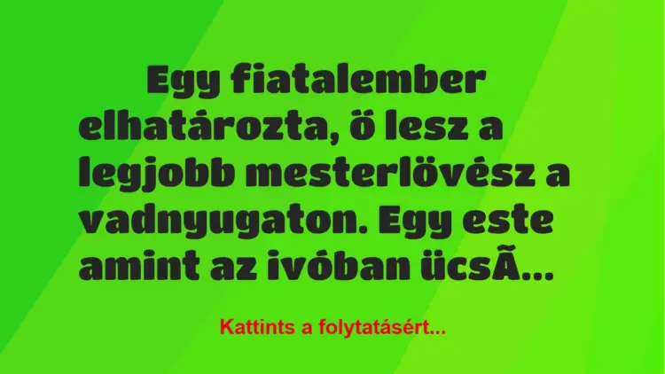 Vicc:
Egy fiatalember elhatározta, ő lesz a legjobb mesterlövész …