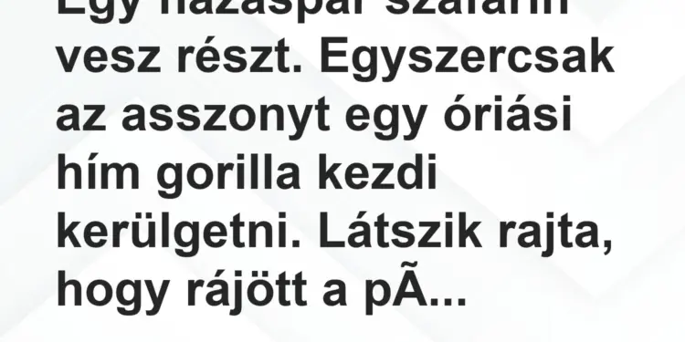 Vicc: Egy házaspár szafarin vesz részt. Egyszercsak az asszonyt egy óriási hím gorilla…