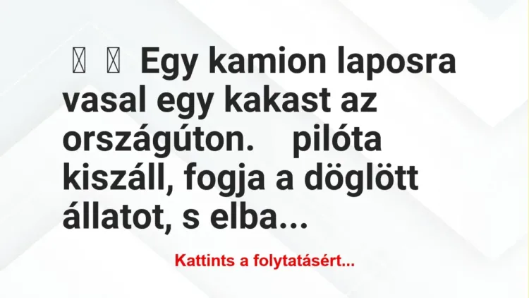 Vicc: 
	    	    Egy kamion laposra vasal egy kakast az országúton.


 …