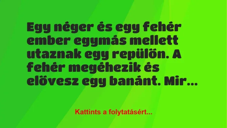 Vicc: Egy néger és egy fehér ember egymás mellett utaznak egy repülőn. A fehér…