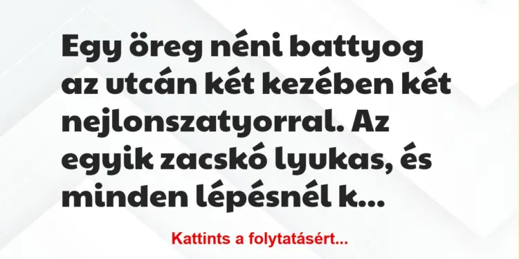 Vicc: Egy öreg néni battyog az utcán két kezében két nejlonszatyorral. Az egyik zacskó…