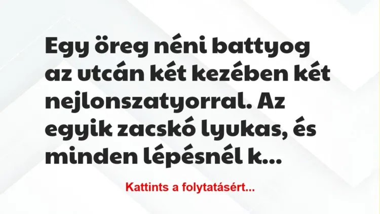 Vicc: Egy öreg néni battyog az utcán két kezében két nejlonszatyorral. Az egyik zacskó…