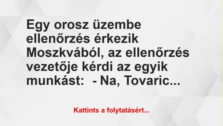 Vicc: Egy orosz üzembe ellenőrzés érkezik Moszkvából, az ellenőrzés vezetője kérdi az…