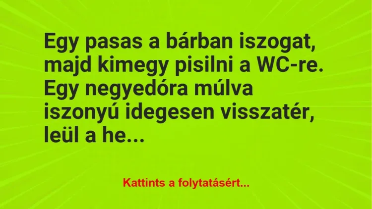 Vicc: Egy pasas a bárban iszogat, majd kimegy pisilni a WC-re. Egy negyedóra…