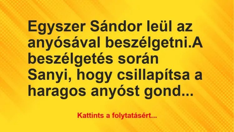 Vicc: Egyszer Sándor leül az anyósával beszélgetni.A beszélgetés során Sanyi,…