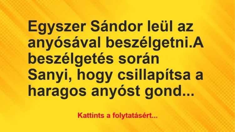 Vicc: Egyszer Sándor leül az anyósával beszélgetni.

A beszélgetés során Sanyi,…