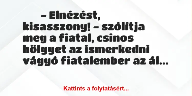 Vicc:
– Elnézést, kisasszony! – szólítja meg a fiatal, csinos…