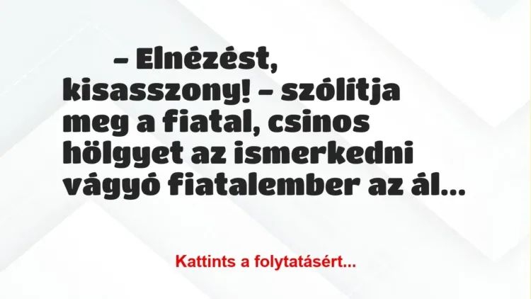 Vicc: 
	    	    – Elnézést, kisasszony! – szólítja meg a fiatal, csinos…