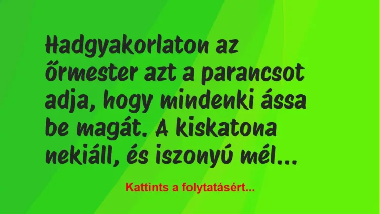 Vicc: Hadgyakorlaton az őrmester azt a parancsot adja, hogy mindenki ássa be magát. A…