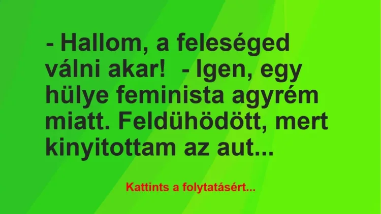 Vicc: – Hallom, a feleséged válni akar!

– Igen, egy hülye feminista…