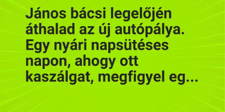 Vicc: János bácsi legelőjén áthalad az új autópálya. Egy nyári napsütéses napon, ahogy…