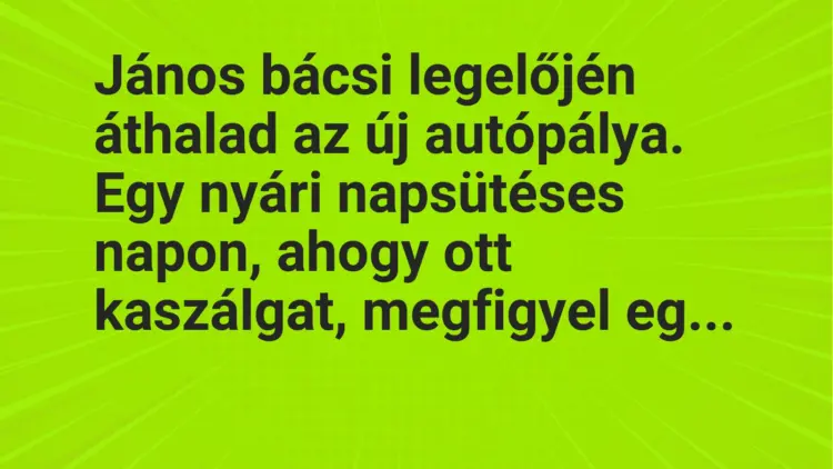 Vicc: János bácsi legelőjén áthalad az új autópálya. Egy nyári napsütéses napon, ahogy…