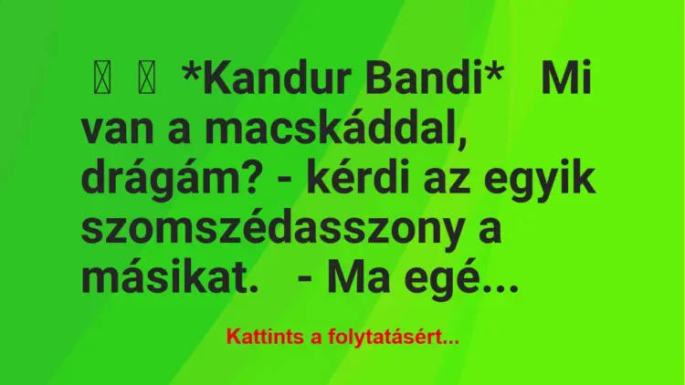 Vicc:
*Kandur Bandi*Mi van a macskáddal, drágám? – kérdi az egyik…