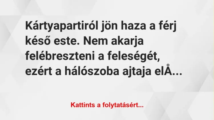 Vicc: Kártyapartiról jön haza a férj késő este. Nem akarja felébreszteni a…