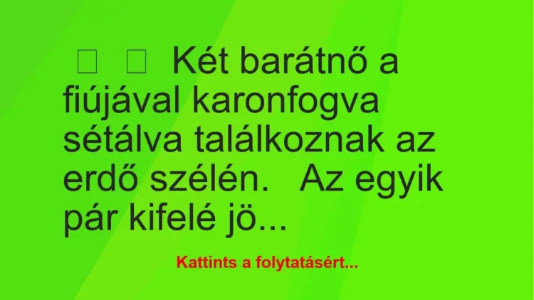 Vicc:
Két barátnő a fiújával karonfogva sétálva találkoznak az…