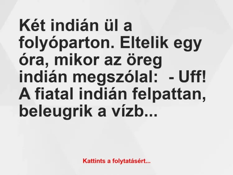 Vicc: Két indián ül a folyóparton. Eltelik egy óra, mikor az öreg indián…