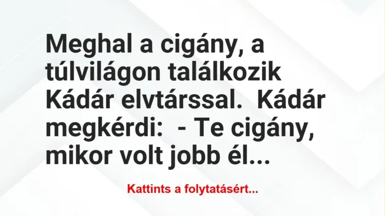 Vicc: Meghal a cigány, a túlvilágon találkozik Kádár elvtárssal.Kádár…