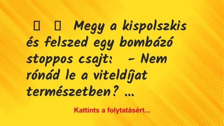 Vicc: 
	    	    Megy a kispolszkis és felszed egy bombázó stoppos…