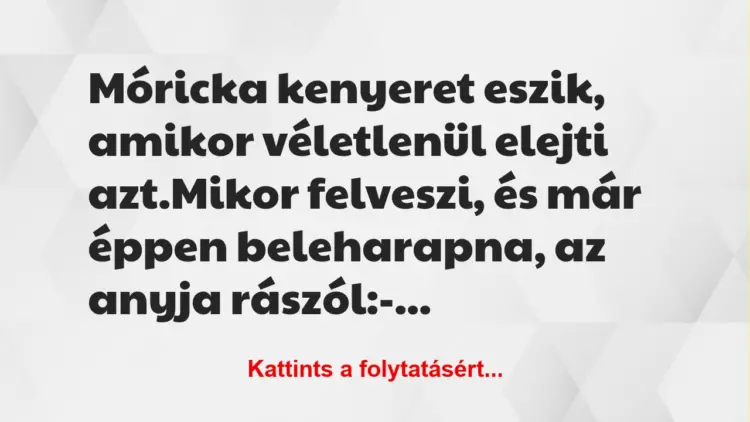 Vicc: Móricka kenyeret eszik, amikor véletlenül elejti azt.Mikor…