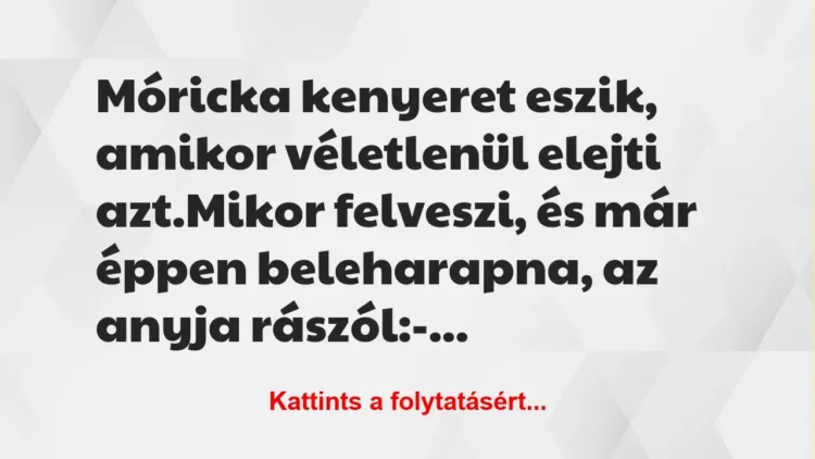 Vicc: Móricka kenyeret eszik, amikor véletlenül elejti azt.

Mikor…