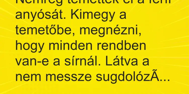 Vicc: Nemrég temették el a férfi anyósát. Kimegy a temetőbe, megnézni, hogy minden…