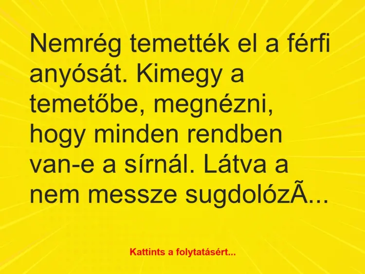 Vicc: Nemrég temették el a férfi anyósát. Kimegy a temetőbe, megnézni, hogy minden…