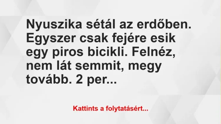 Vicc: Nyuszika sétál az erdőben. Egyszer csak fejére esik egy piros bicikli….