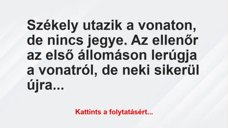 Vicc: Székely utazik a vonaton, de nincs jegye. Az ellenőr az első állomáson…